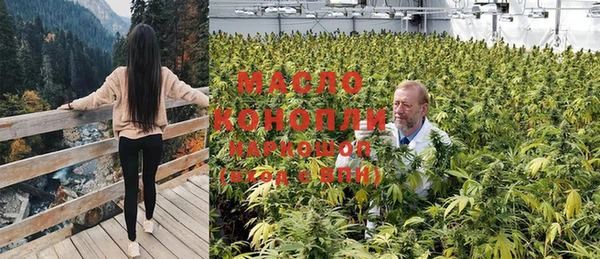 mix Богородицк