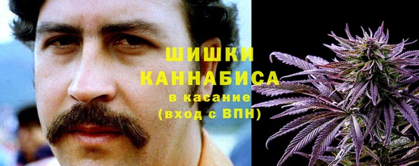 дживик Бронницы