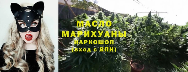 mix Богородицк