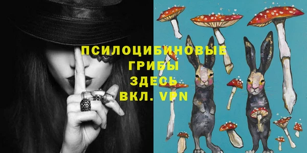 mix Богородицк