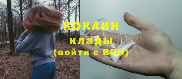 кокс Михайлов